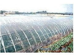 临淄区南王镇帅丰塑料厂 优质农膜供应，助力现代农业发展